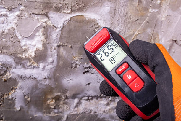 Best Bathroom Mold Remediation in Vinton, IA