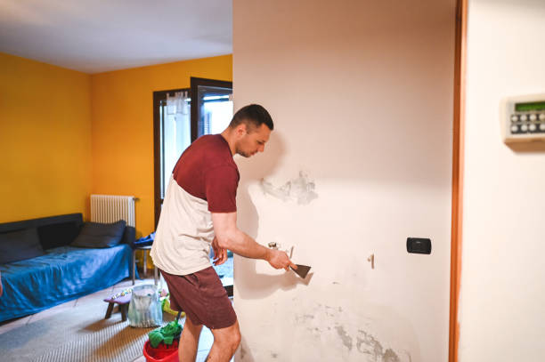 Vinton, IA Mold Remediation Company